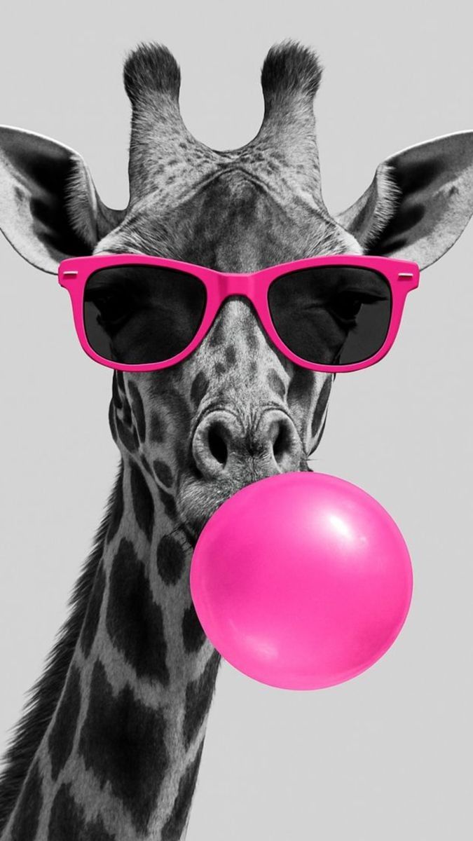 والپیپر minimal - cool animals با کیفیت فری والز